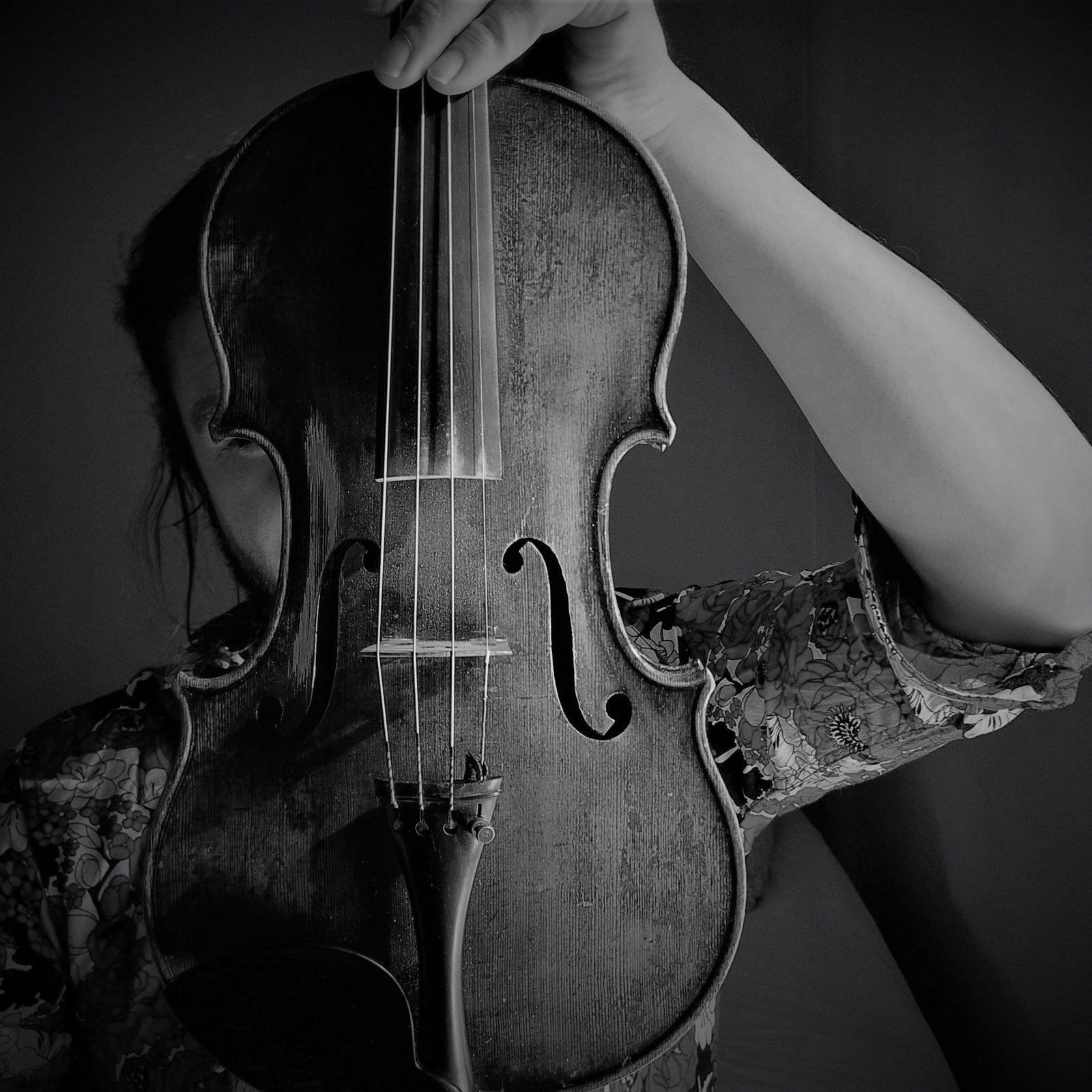 dcim100mediadji 0579.jpg