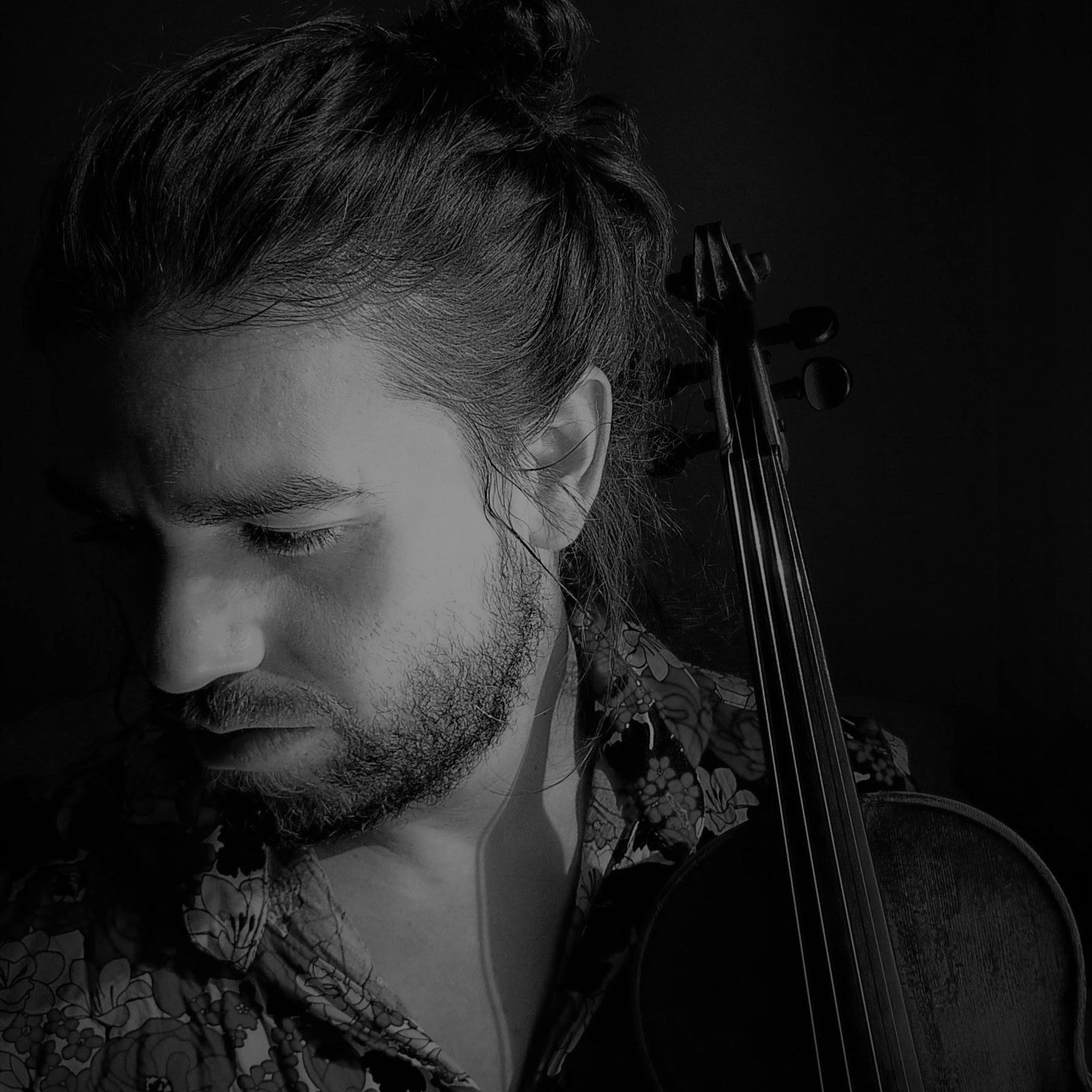 dcim100mediadji 0569.jpg